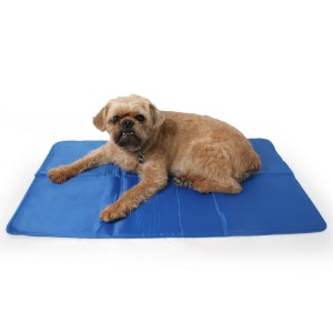 Pressure Pad